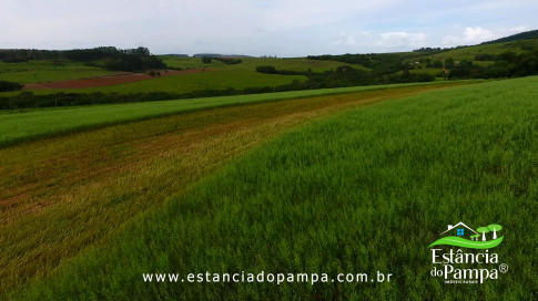 DOS EÓLICOS VIRA P FAZENDA_Moment.00_00_33_01.Quadro206_f9e36adc4925c443fbce5d03afe37f01dc51719e.jpg